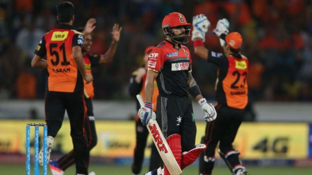 David Warner's 92 helps Sunrisers Hyderabad rout Virat Kohli's RCB
