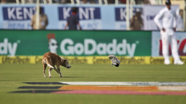 ind v eng 2nd test dog forces players to go off the field 5531 IND V ENG 2nd Test: Dog forces players to go off the field