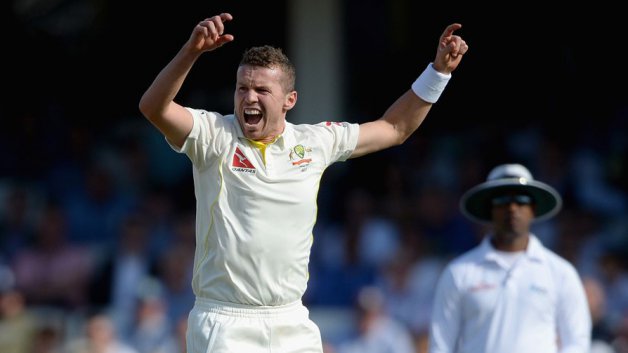 AUS V SA 1st Test: Smith confirms playing XI; Siddle makes a comeback