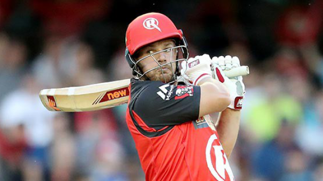 finch shines with bat hogg amazes with bouncer in renegades victory 7340 Finch shines with bat, Hogg amazes with 'bouncer' in Renegades victory