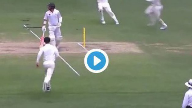 watch a run out that finished the most exciting test match 7280 WATCH: A run out that finished the most exciting Test match