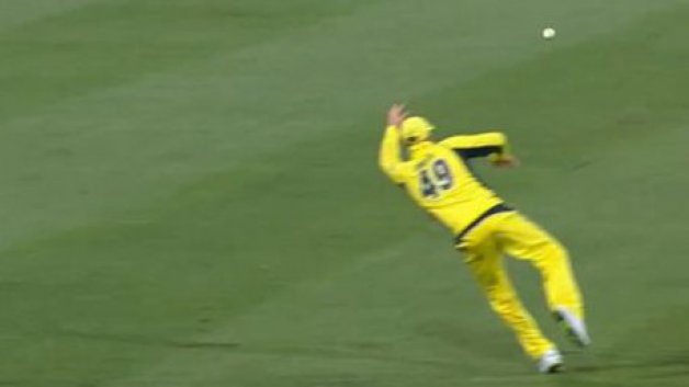 steven smith s catch against new zealand leaves scg crowd stunned 6926 VIDEO: Steven Smith's catch against New Zealand leaves SCG crowd stunned
