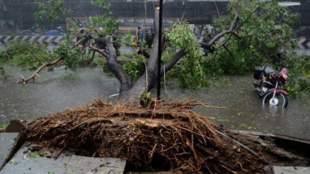 cyclone vardah damages chepauk ground but pitch safe tnca secretary 7126 Cyclone Vardah damages Chennai cricket ground, but pitch safe: TNCA secretary