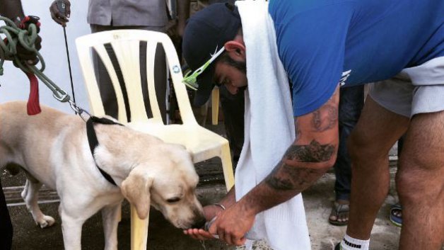 these pictures of virat kohli giving water to security dog will melt your heart 7163 These pictures of Virat Kohli giving water to security dog will melt your heart