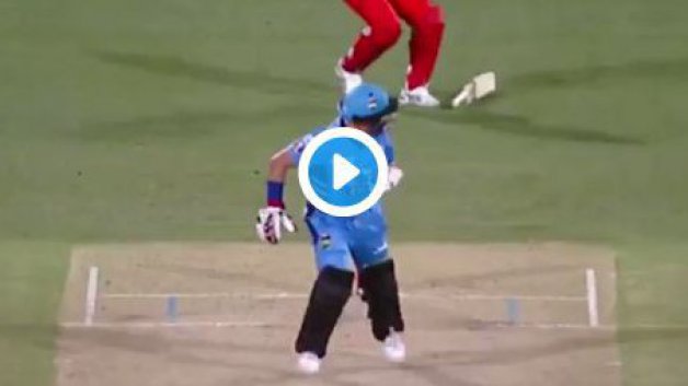 watch peter neville hit with brad hodge s bat in freak bbl accident 7796 WATCH: Peter Neville hit with Brad Hodge's bat in freak BBL accident