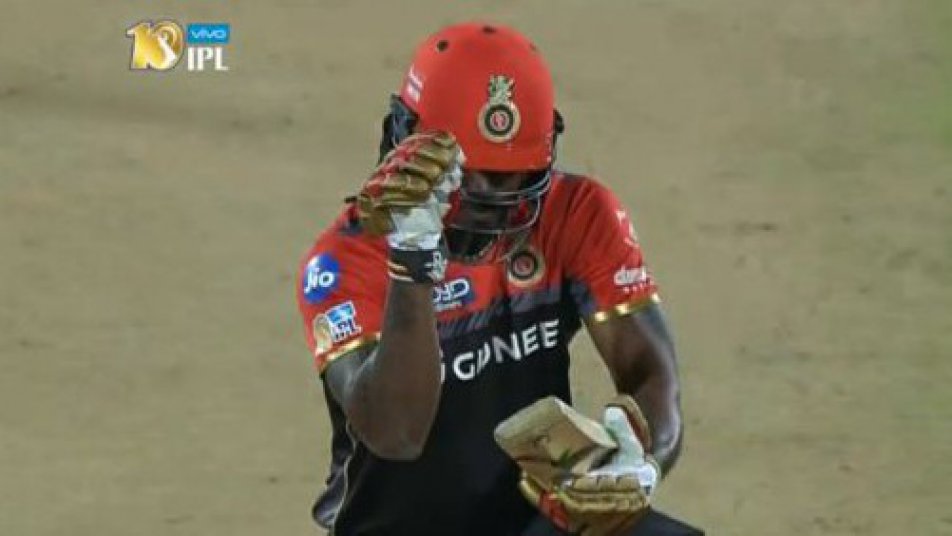 video gayle pulls out the salt bae celebration 9474 VIDEO: Gayle pulls out the 'Salt Bae' celebration