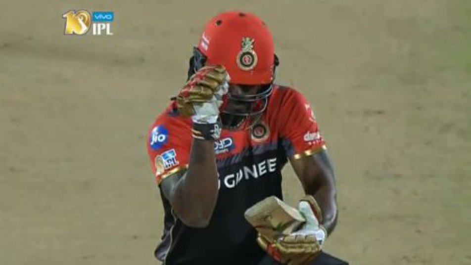 VIDEO: Gayle pulls out the 'Salt Bae' celebration VIDEO: Gayle pulls out the 'Salt Bae' celebration