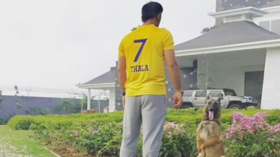 the thala returns dhoni wears csk colors as ban ends 11061 The ‘Thala’ returns: Dhoni wears CSK colors as ban ends