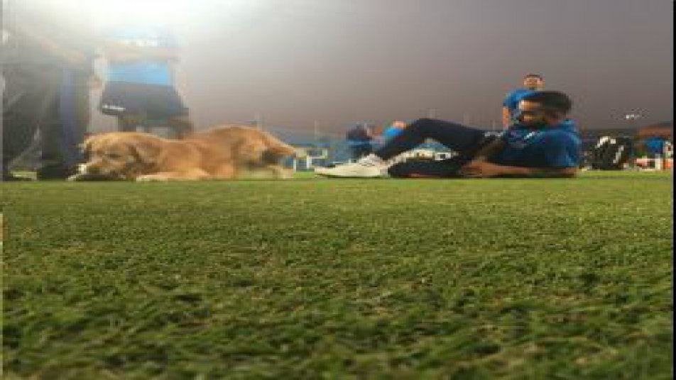 ADORABLE: Virat Kolhi cuddles dog during practice session