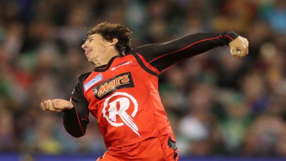 Brad Hogg signs one-year deal with Melbourne Renegades