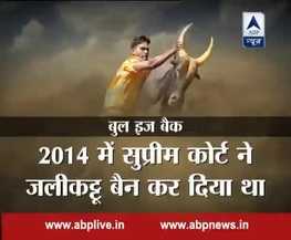 Most dangerous sport 'Jallikattu' is back!