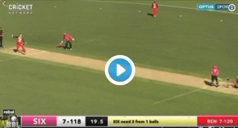 melbourne renegades nearly escape loss after celebration blunder Melbourne Renegades nearly escape loss after celebration blunder!