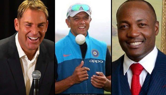 IN PICS: Shane Warne to Brian Lara, here's what cricketing greats once said about Dravid