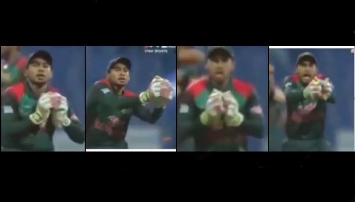 WATCH: Moving over 'Nagin Dance', Mushfiqur launches a new form to celebrate victory