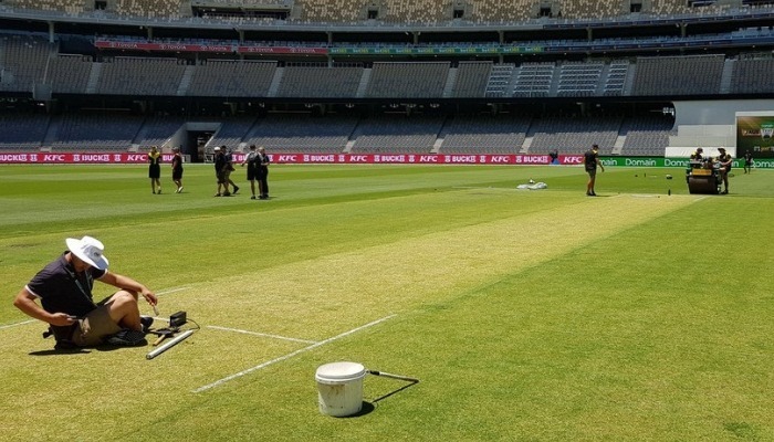 IND vs AUS 2nd Test: WACA curator 'trying to produce bounciest wicket'