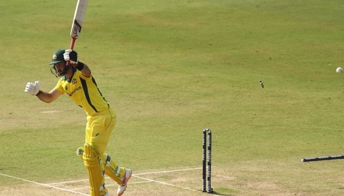 WATCH: Shami rattles Glenn Maxwell's stumps with an absolute ripper