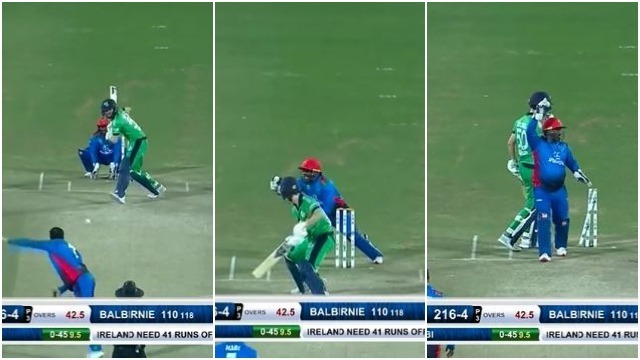 watch afghanistans mohammad shahzad pulls off an ms dhoni like stumping in third odi against ireland WATCH: Afghanistan's Mohammad Shahzad pulls off an MS Dhoni-like stumping in third ODI against Ireland