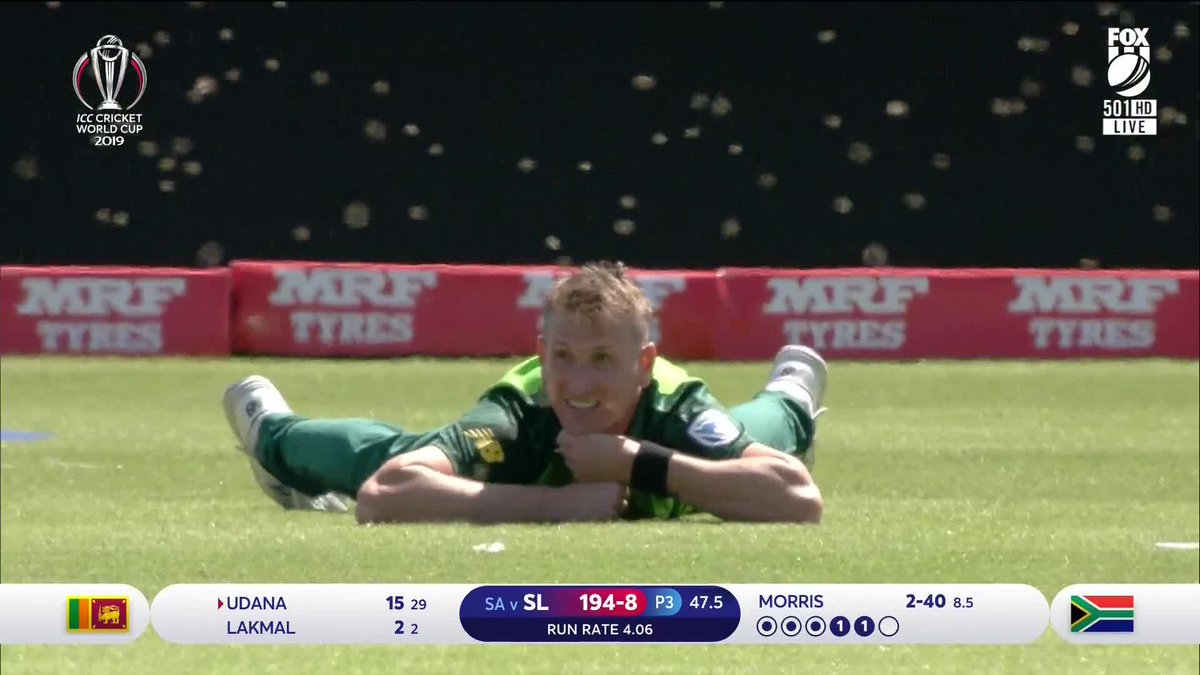 WATCH: Swarm of bees stop Sri Lanka vs South Africa WC match at Durham