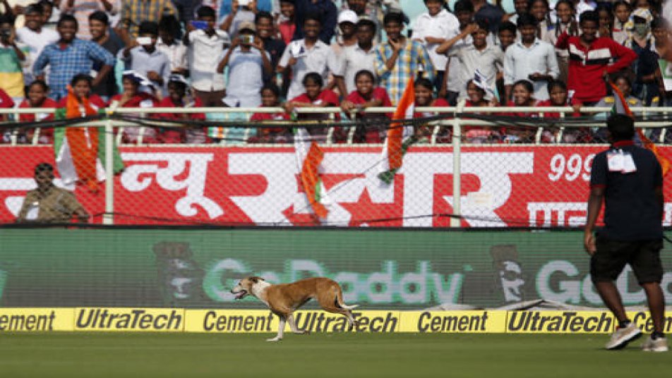 शुरूआती झटकों से टीम को उबारने में लगे विराट कोहली और चेतेश्वर पुजारा के ग्राउंड में मौजूद सभी खिलाड़ी इस दृश्य को देखकर हैरान रह गए. मैदान में घुसे उस कुत्ते की वजह से टी ब्रेक भी जल्दी लेना पड़ गया.