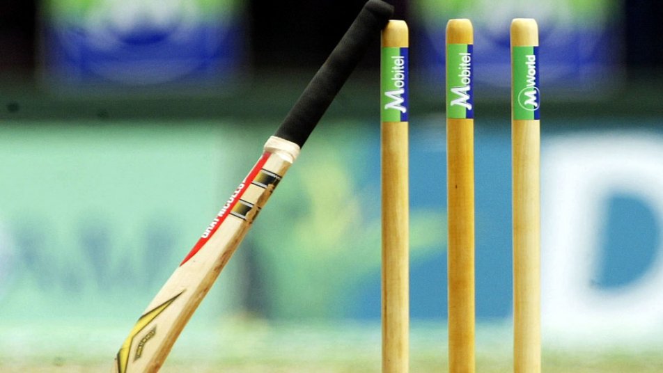 जिसके जवाब में विद्या भवन की टीम 19.2 ओवर में 142 रन बनाकर ढेर हो गई.
