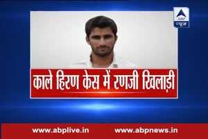 क्रिकेटर पर काले हिरण के शिकार का आरोप, गिरफ्तार