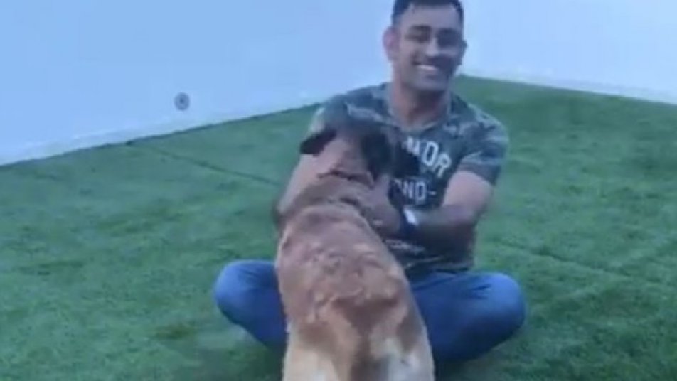 sakshi s instagram video of ms dhoni with pet will melt your heart 12397 माही के 'डॉग' ने उतारी धोनी की नकल, साक्षी ने शेयर किया वीडियो