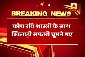 SAvsIND: हार से बेखबर सफारी की सैर पर निकली टीम इंडिया