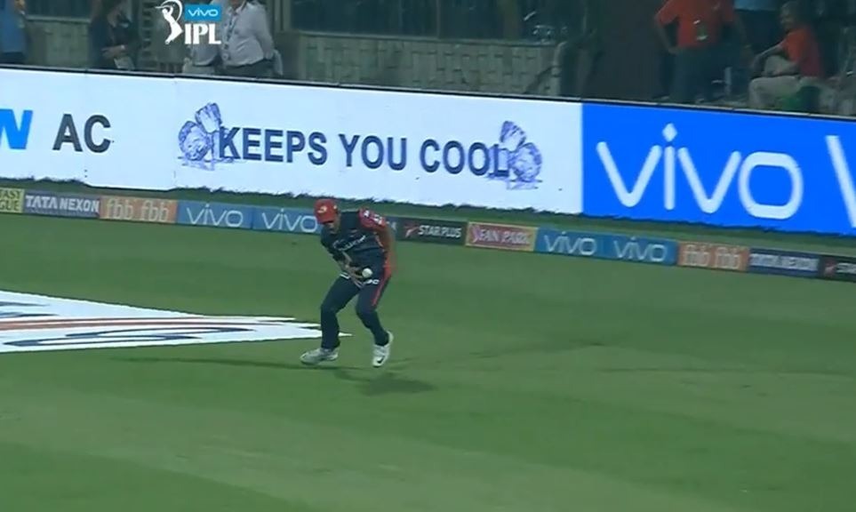 watch prithvi shaws brilliant catch at fine leg WATCH: बल्ले से नहीं, तो फील्डिंग में पृथ्वी शॉ ने दिखाया कमाल