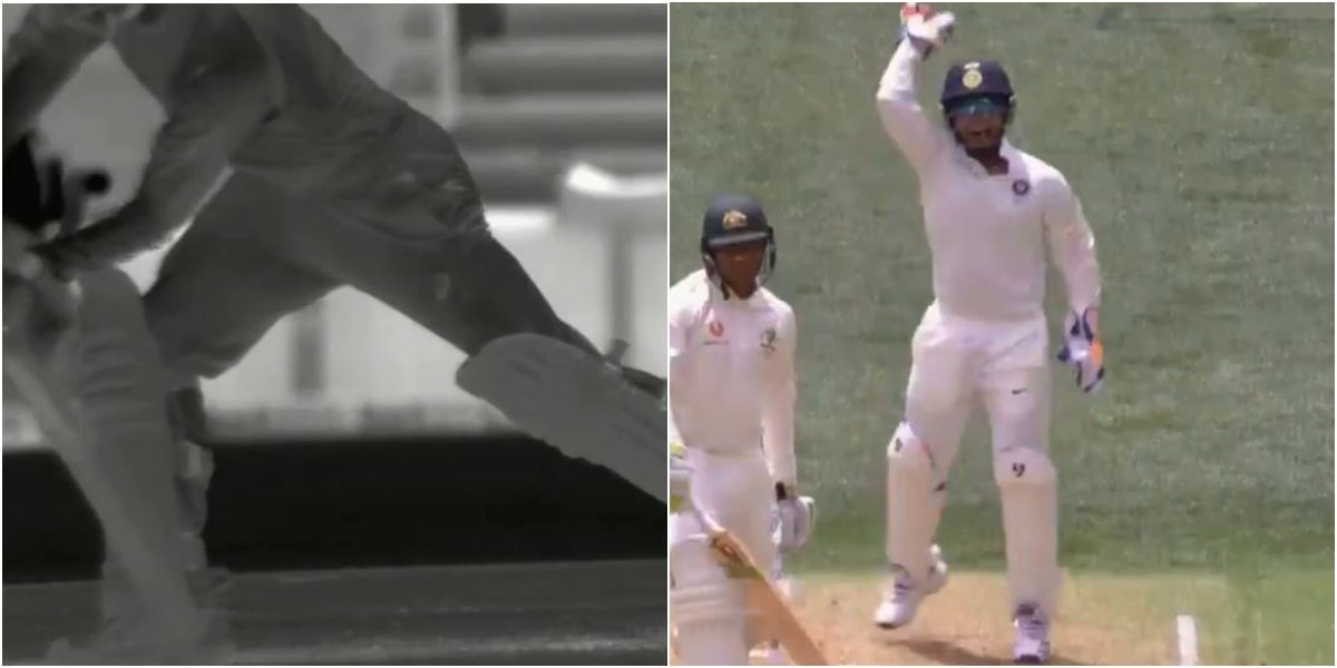 India vs Australia WATCH: अश्विन की गेंद पर रिषभ पंत की सूझबूझ ने दिलाई धोनी की याद, DRS पर टीम को मिला बड़ा विकेट