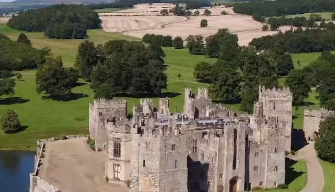 वर्ल्ड कप 2019 SA vs SL: मैच के दौरान मैदान पर मधुमक्खियों ने किया हमला, सभी खिलाड़ी जमीन पर लेटे